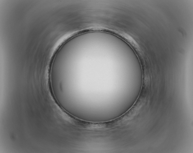 X0000113031183200909101851