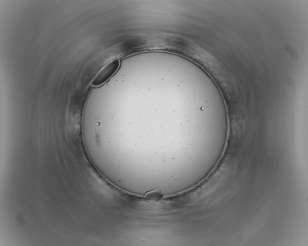 X0000113031185200909101851