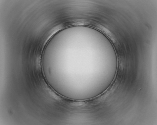 X0000113031186200909101851