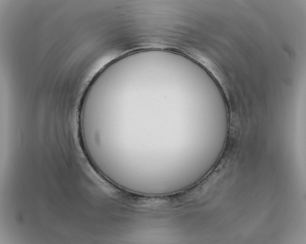 X0000113031187200909101851