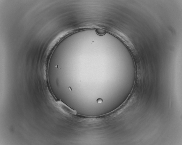 X0000113031188200909101851