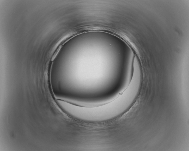 X0000113031189200909101851