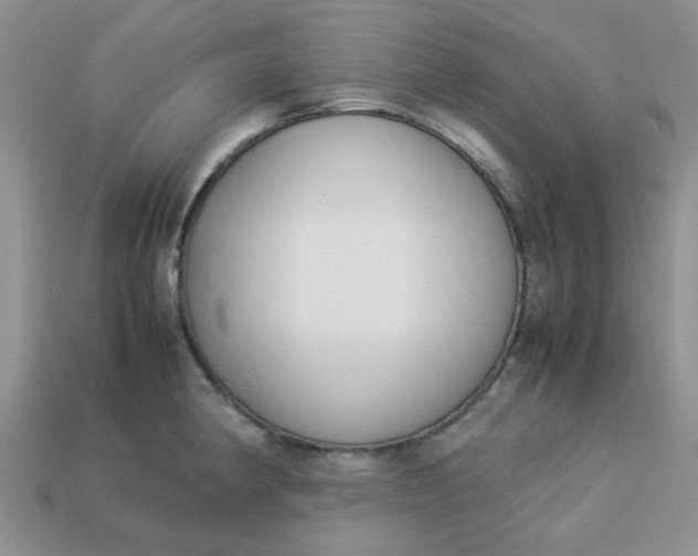 X0000113031190200909101851