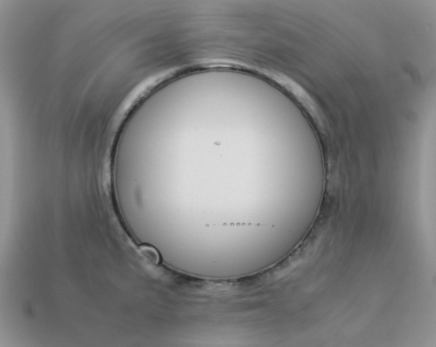 X0000113031191200909101851