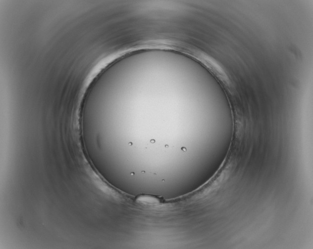 X0000113031192200909101851