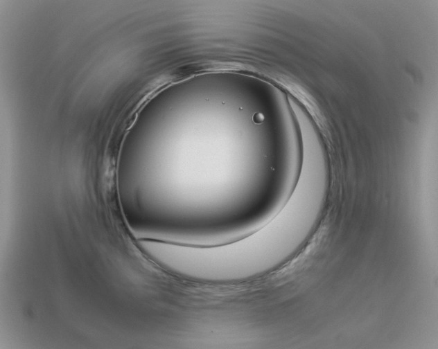 X0000113031193200909101851