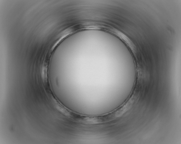 X0000113031194200909101851