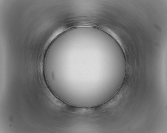 X0000113031195200909101851