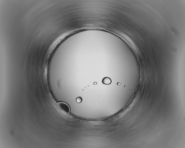 X0000113031196200909101851