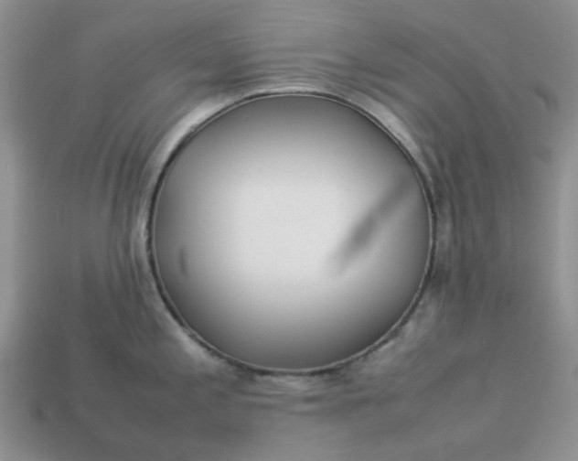 X0000113031197200909101851