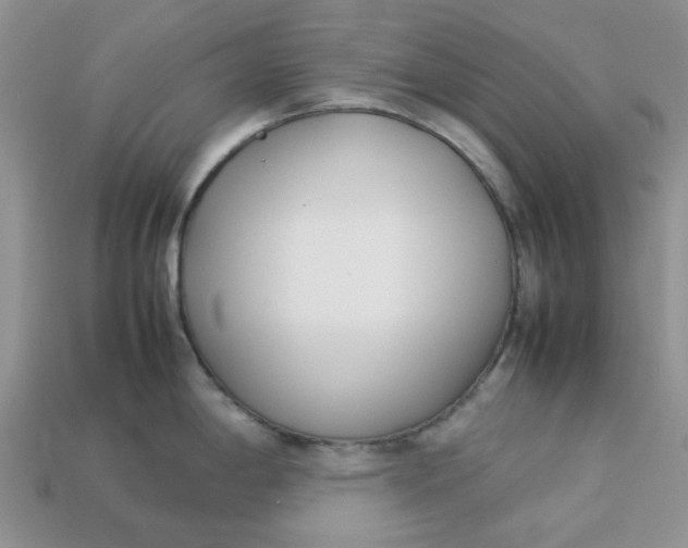 X0000113031198200909101851