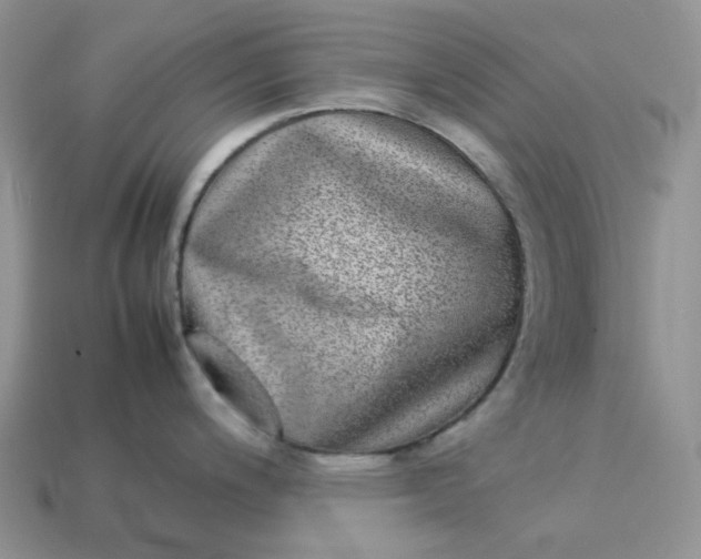 X0000113031200200909101851