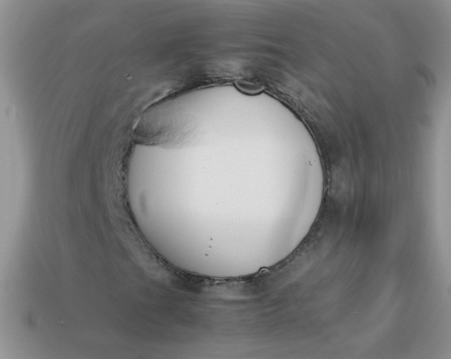 X0000113031201200909101851