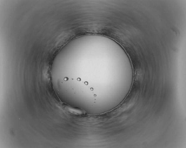 X0000113031202200909101851