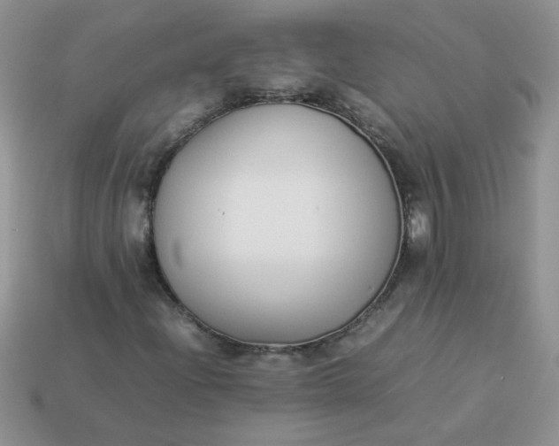 X0000113031204200909101851