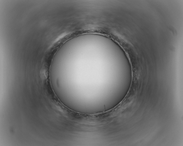 X0000113031206200909101851