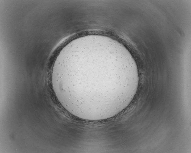 X0000113031208200909101851