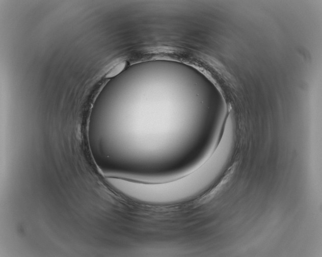 X0000113031209200909101851