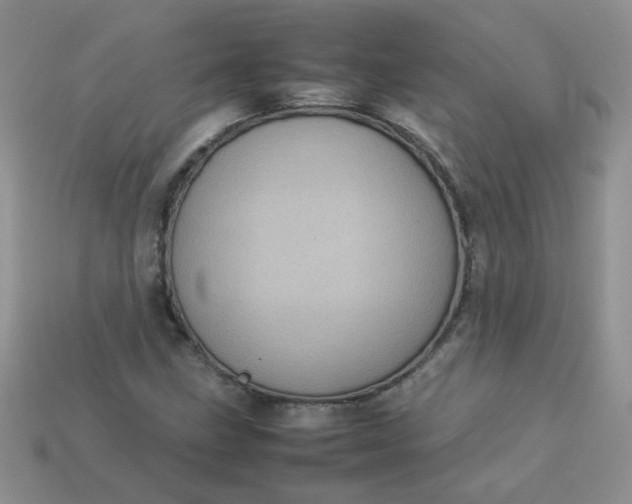 X0000113031211200909101851