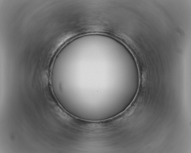 X0000113031212200909101851