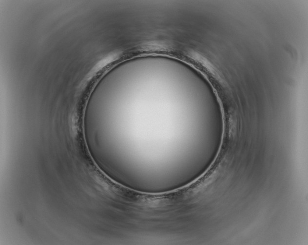 X0000113031213200909101851