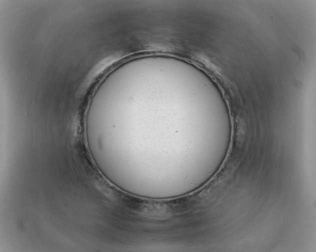 X0000113031215200909101851