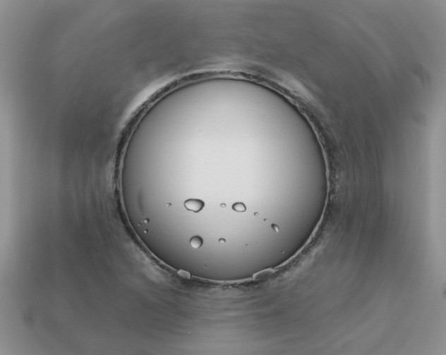 X0000113031216200909101851