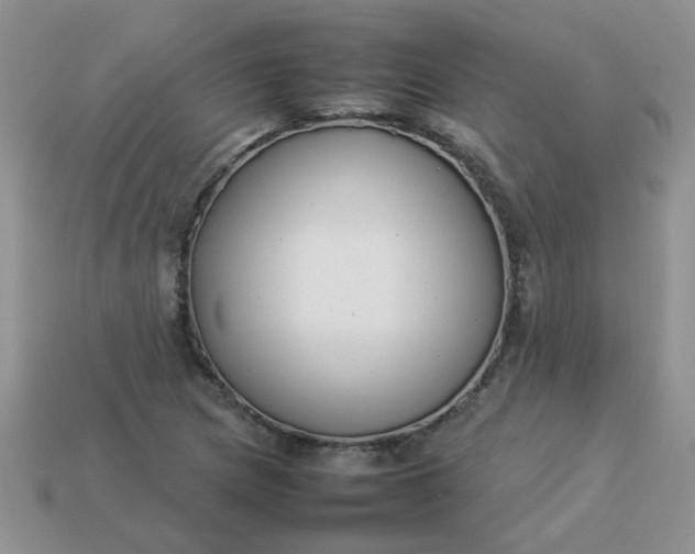 X0000113031217200909101851