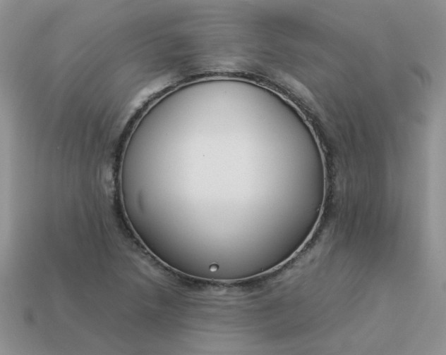 X0000113031218200909101851