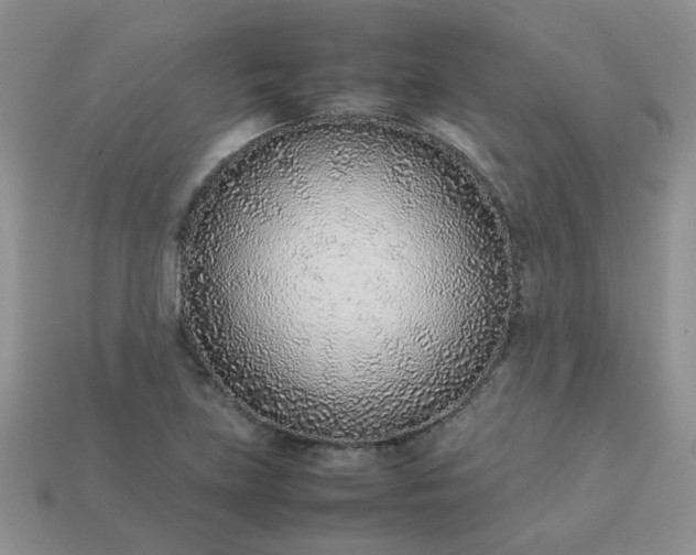 X0000113031219200909101851