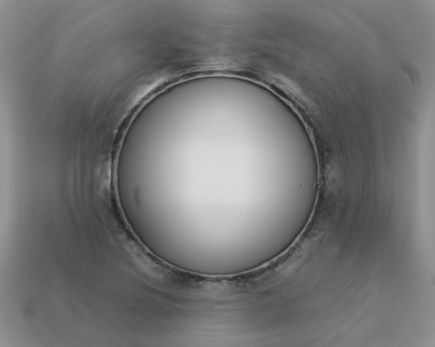 X0000113031220200909101851