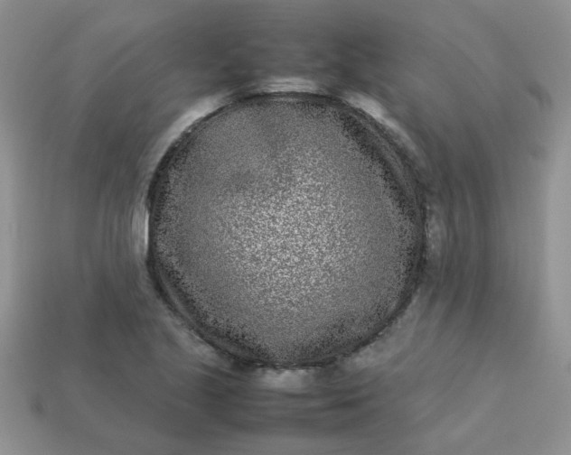 X0000113031221200909101851