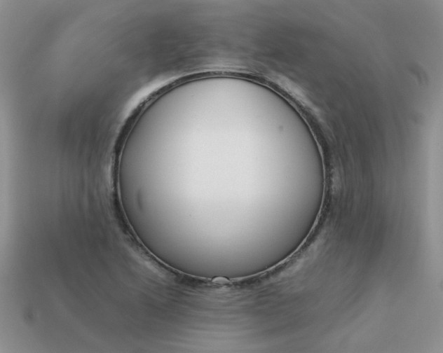 X0000113031222200909101851