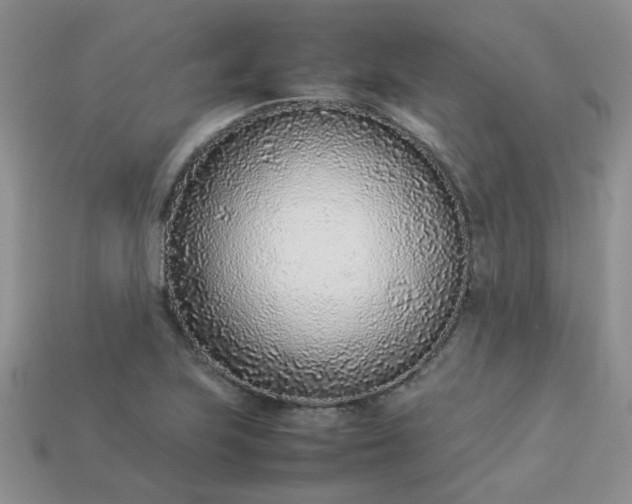 X0000113031223200909101851