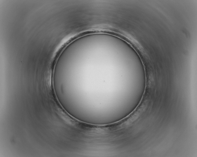 X0000113031224200909101851