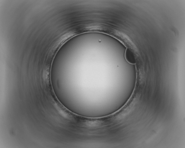 X0000113031225200909101851