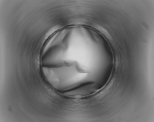 X0000113031226200909101851