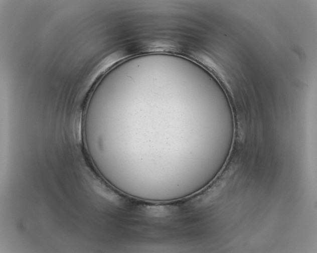 X0000113031227200909101851