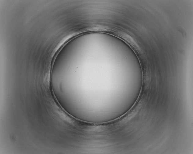 X0000113031228200909101851