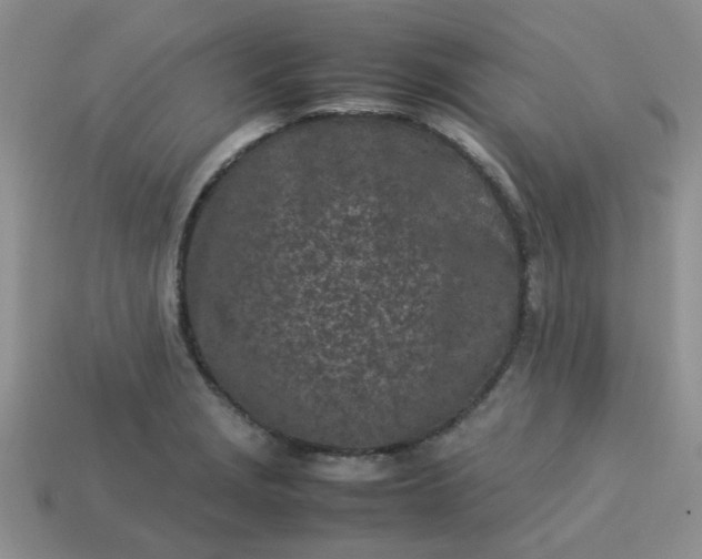 X0000113031229200909101851