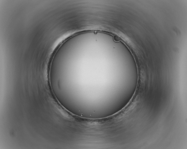 X0000113031230200909101851