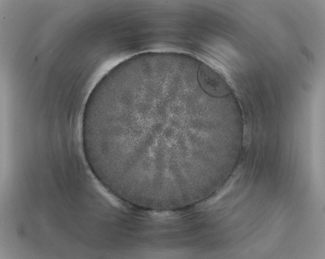 X0000113031231200909101851