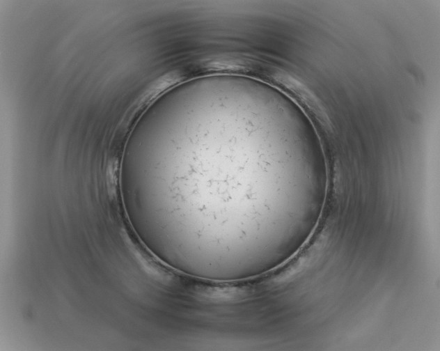 X0000113031233200909101851