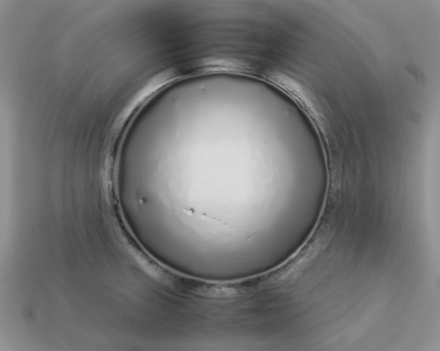 X0000113031235200909101851