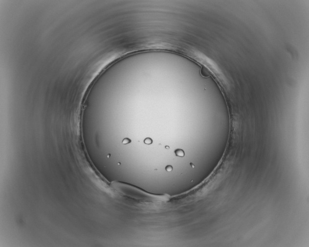 X0000113031236200909101851