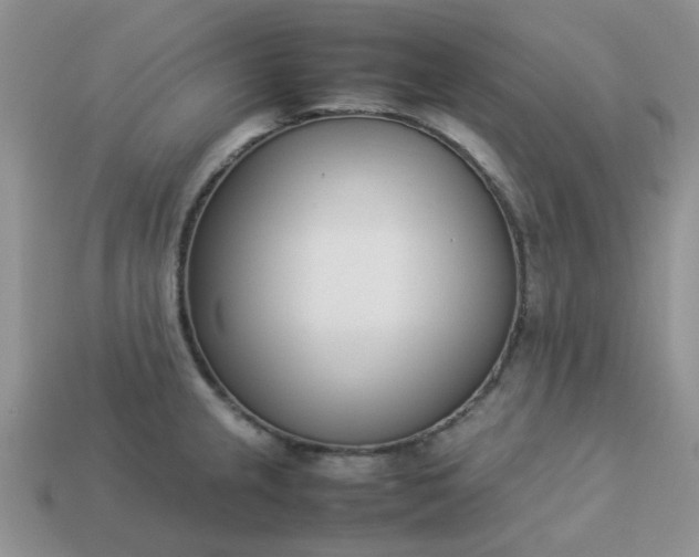 X0000113031237200909101851