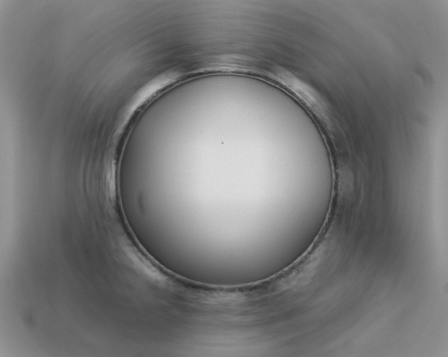 X0000113031238200909101851