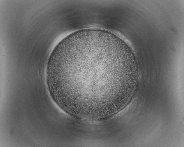 X0000113031239200909101851