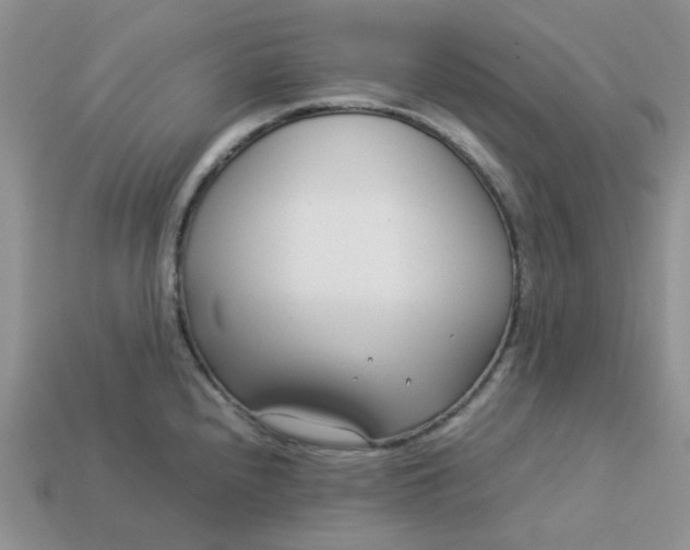 X0000113031240200909101851