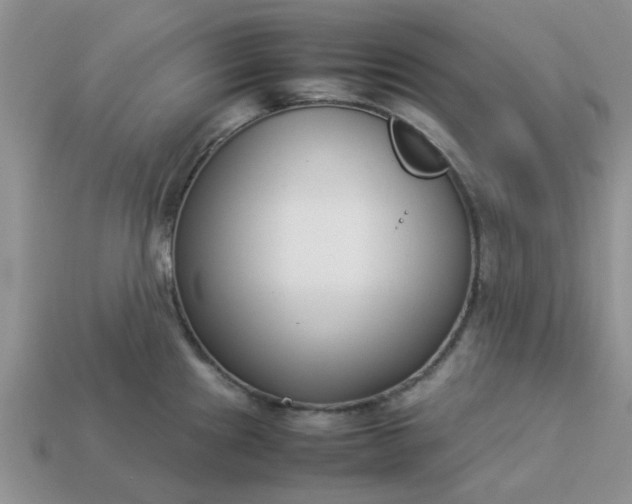 X0000113031241200909101851